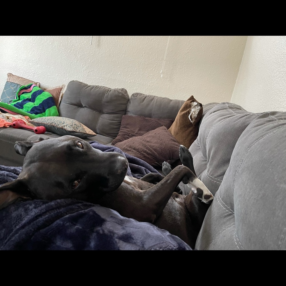 Meet your Posher, Jerry